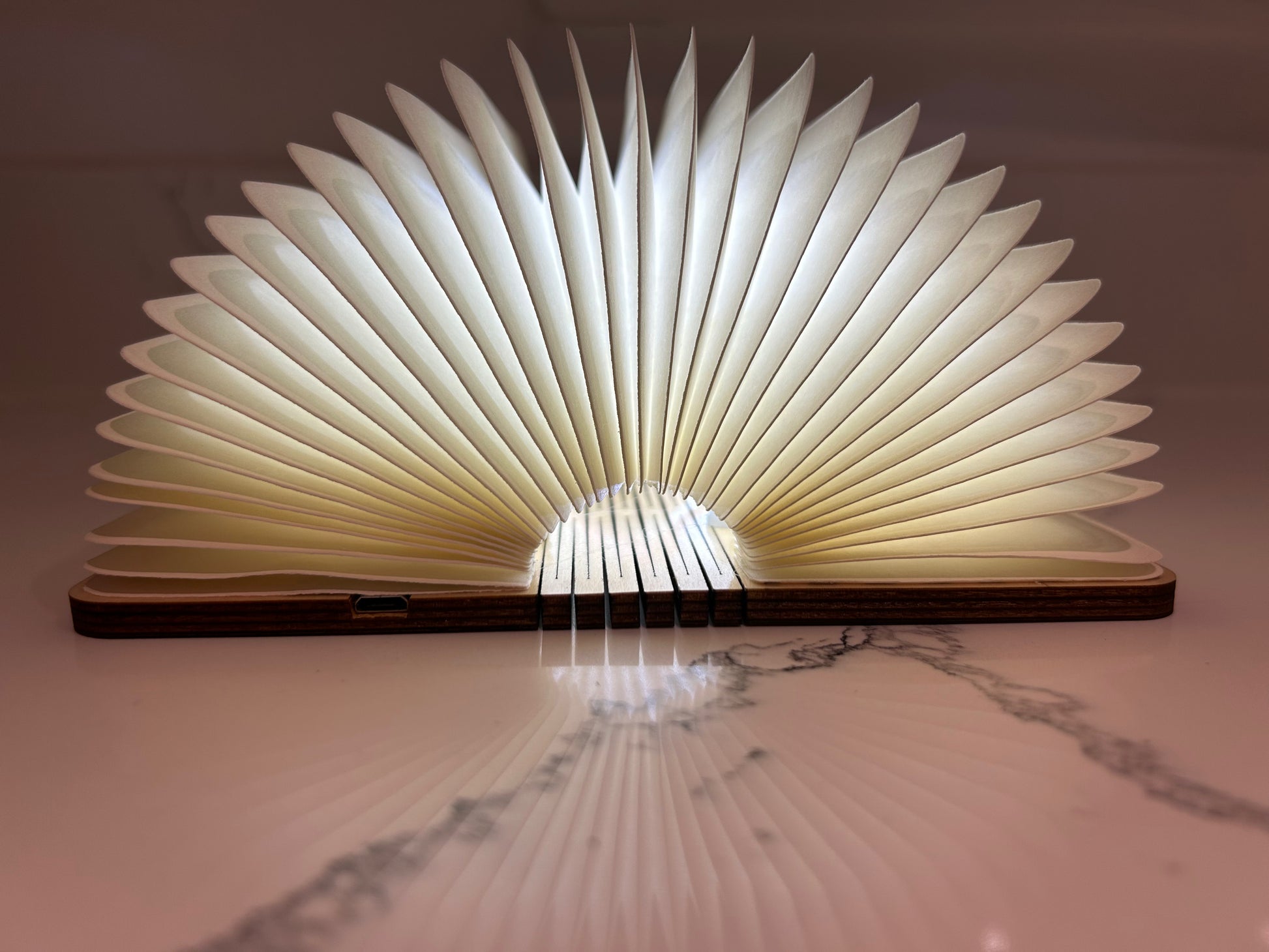 Book best sale lamp light